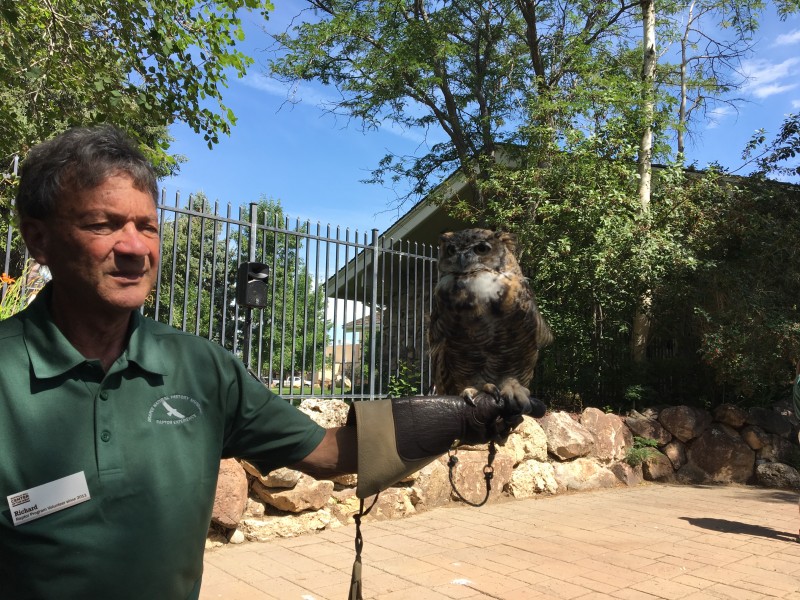 Live raptor show
Buffalo Bill Center of the West
