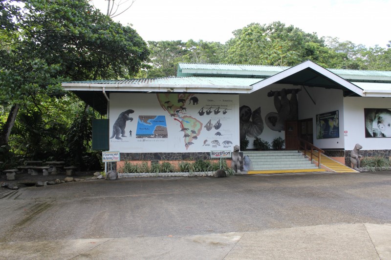 Sloth Sanctuary Aviarios del Caribe
