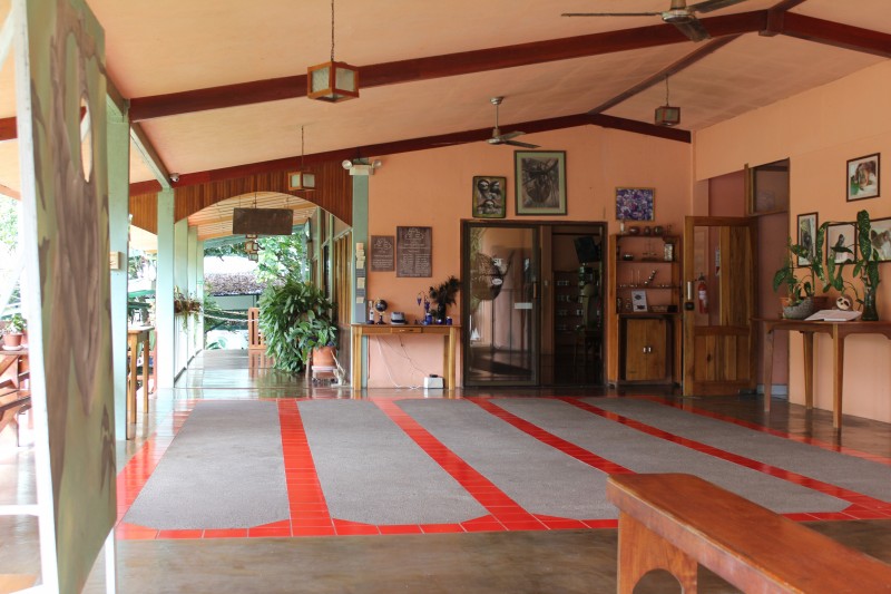 Sloth Sanctuary Aviarios del Caribe
