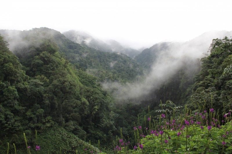 Fog in valley
Catarata del Toro Waterfall
