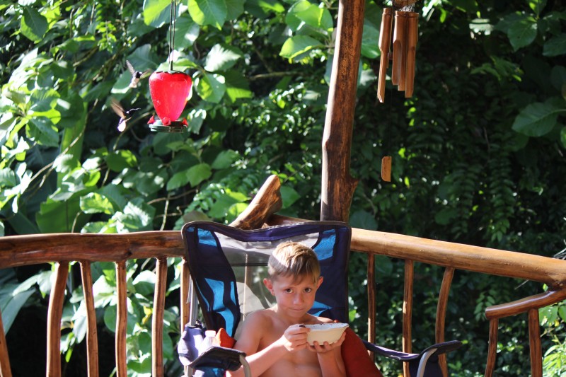 Nate and Hummingbirds
Tree house
