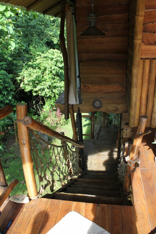 Hatilla  "Tree house"
