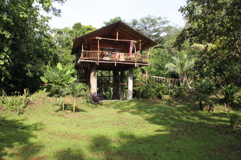 Hatilla  "Tree house"
