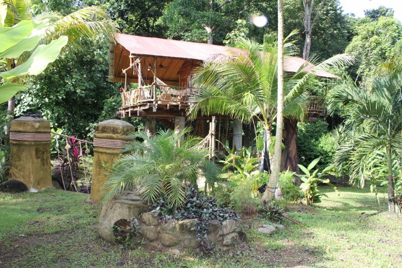 Hatilla  "Tree house"
