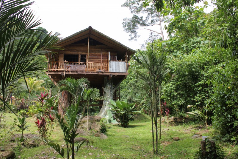Hatilla  "Tree house"
