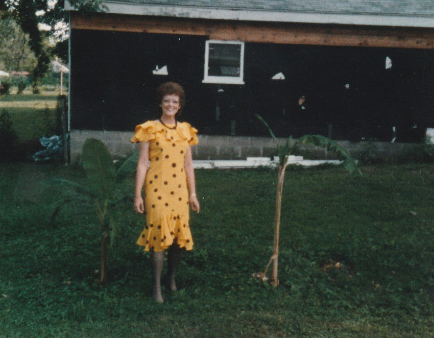 Alice Tarantino
