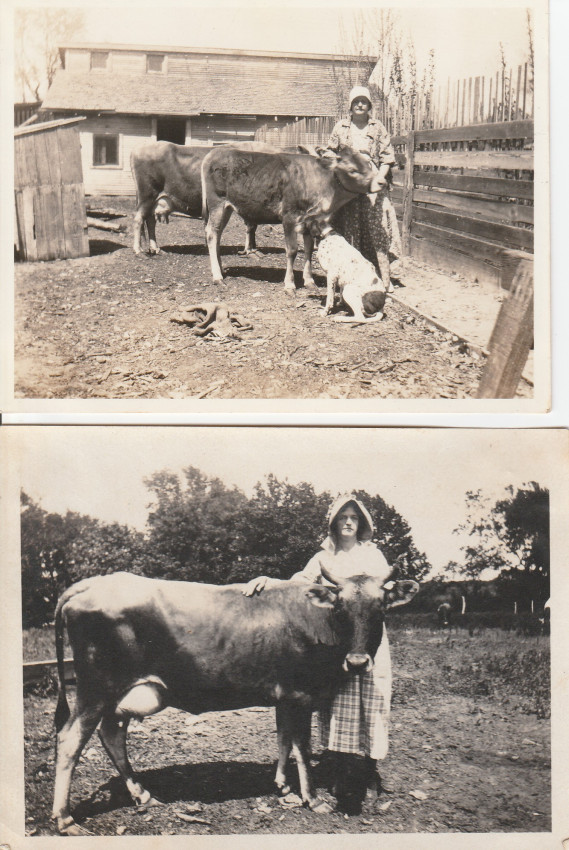 Old Unidentified McClanahan

