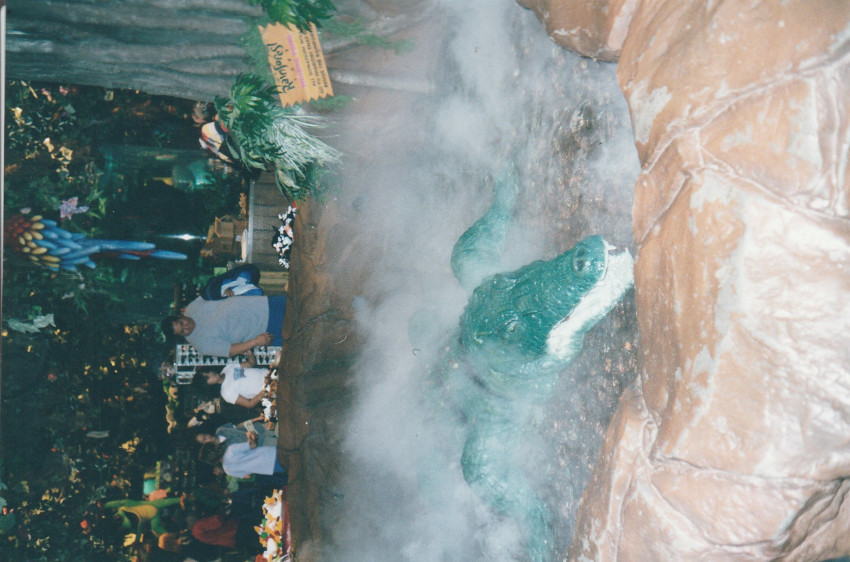 Rain Forest Cafe
