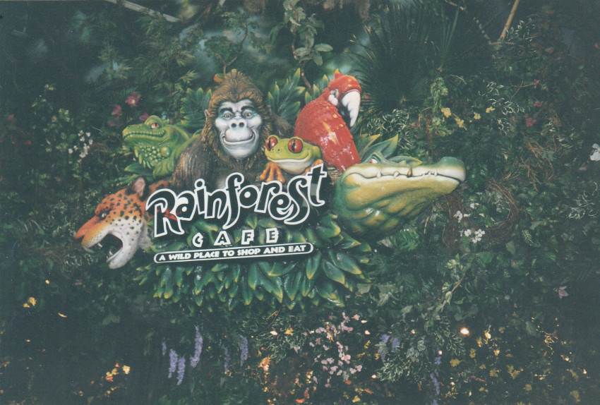 Rain Forest Cafe
