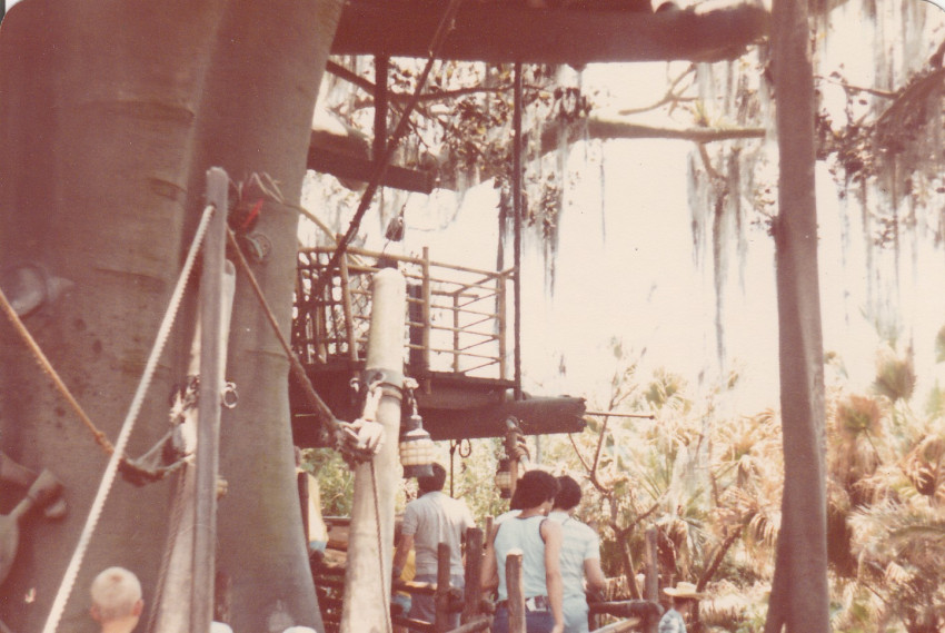 Trip to Florida July 1977
