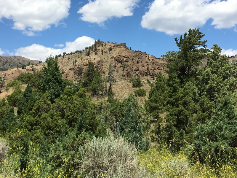 Rex Hale Campground (USFS) Cody WY
