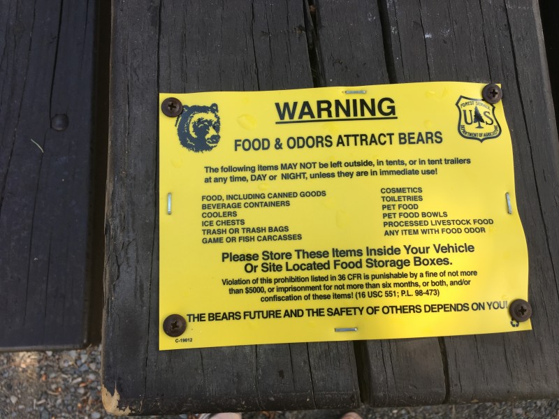 Rex Hale Campground (USFS) Cody WY
This was on our picnic table. A little intimidating.
