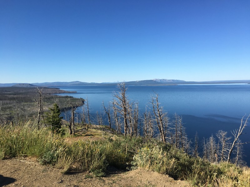 Yellowstone Lake Butte Lookout
