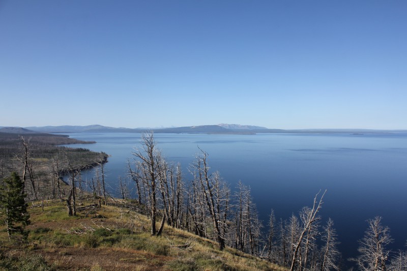 Yellowstone Lake Butte Lookout
