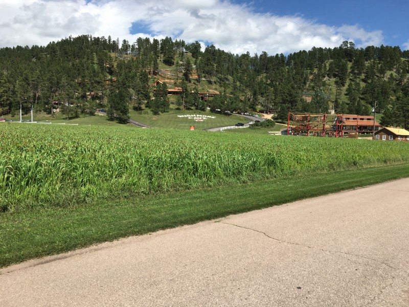 Rushmore Cave
 You will have to walk up a lot of stairs from the parking area.Keystone, SD. 
