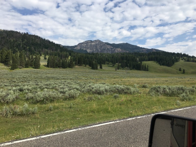 Lamar and Hayden Valley
