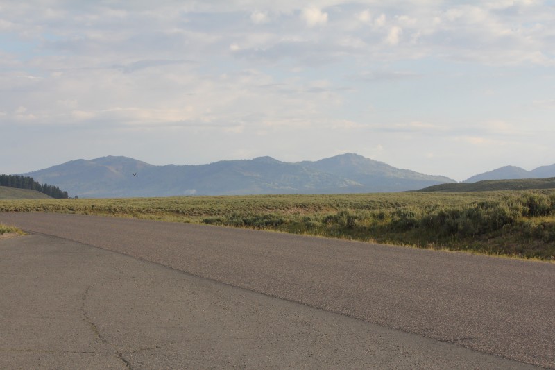 Lamar and Hayden Valley
