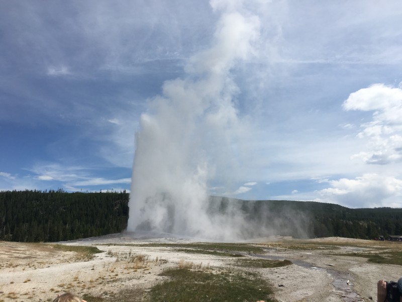 Old Faithful

