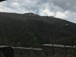 Filename=Yellowstone_trip_IMG_0573.JPG
Filesize=1734KiB
Dimensions=4032x3024
Date added=Aug 24, 2019 Yellowstone_trip_IMG_0573.JPG