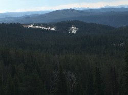 Filename=Yellowstone_trip_IMG_0653.JPG
Filesize=898KiB
Dimensions=4032x3024
Date added=Aug 24, 2019 Yellowstone_trip_IMG_0653.JPG