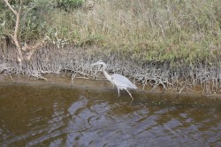 Filename=tn_IMG_0812.JPG
Filesize=186KiB
Dimensions=800x533
Date added=Feb 04, 2017 tn_IMG_0812.JPG