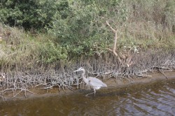 Filename=tn_IMG_0813.JPG
Filesize=214KiB
Dimensions=800x533
Date added=Feb 04, 2017 tn_IMG_0813.JPG