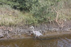 Filename=tn_IMG_0814.JPG
Filesize=211KiB
Dimensions=800x533
Date added=Feb 04, 2017 tn_IMG_0814.JPG