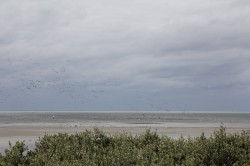 Filename=tn_IMG_0818.JPG
Filesize=85KiB
Dimensions=800x533
Date added=Feb 04, 2017 tn_IMG_0818.JPG