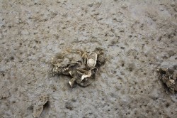 Filename=tn_IMG_0819.JPG
Filesize=179KiB
Dimensions=800x533
Date added=Feb 04, 2017 tn_IMG_0819.JPG