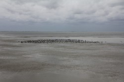 Filename=tn_IMG_0820.JPG
Filesize=76KiB
Dimensions=800x533
Date added=Feb 04, 2017 tn_IMG_0820.JPG