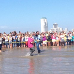 Filename=tn_IMG_0849.JPG
Filesize=159KiB
Dimensions=800x799
Date added=Feb 04, 2017 tn_IMG_0849.JPG