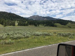 yellowstone_lamar___hayden_valley_IMG_0657.JPG